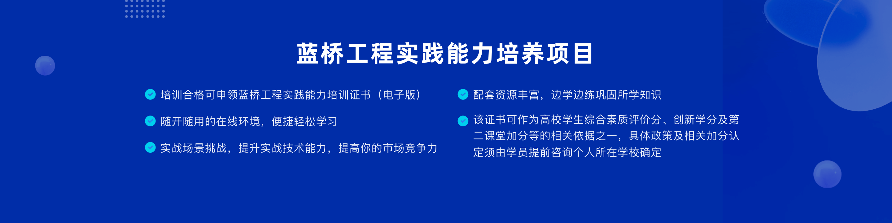 蓝桥IT人才培养项目